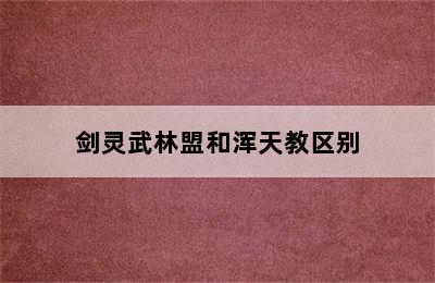 剑灵武林盟和浑天教区别