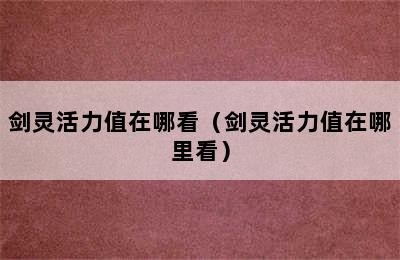 剑灵活力值在哪看（剑灵活力值在哪里看）