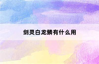 剑灵白龙鳞有什么用