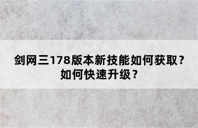 剑网三178版本新技能如何获取？如何快速升级？