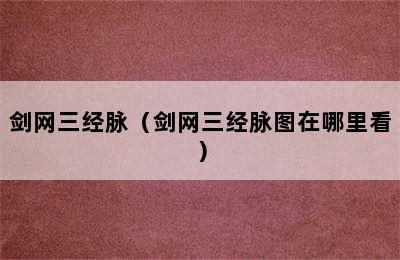 剑网三经脉（剑网三经脉图在哪里看）