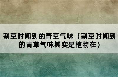 割草时闻到的青草气味（割草时闻到的青草气味其实是植物在）