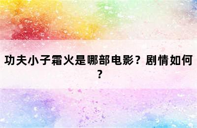 功夫小子霜火是哪部电影？剧情如何？