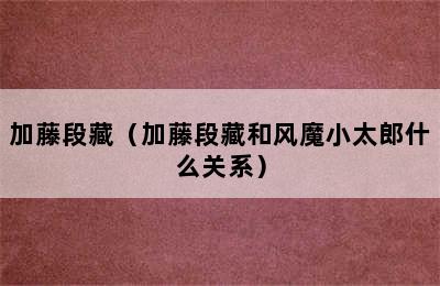 加藤段藏（加藤段藏和风魔小太郎什么关系）