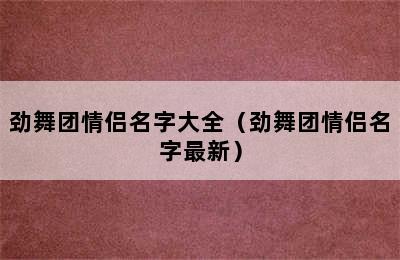 劲舞团情侣名字大全（劲舞团情侣名字最新）