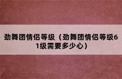 劲舞团情侣等级（劲舞团情侣等级61级需要多少心）