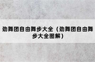 劲舞团自由舞步大全（劲舞团自由舞步大全图解）