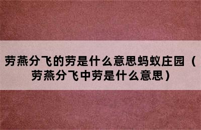 劳燕分飞的劳是什么意思蚂蚁庄园（劳燕分飞中劳是什么意思）