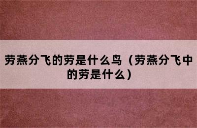 劳燕分飞的劳是什么鸟（劳燕分飞中的劳是什么）