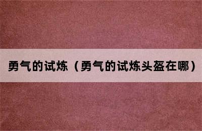 勇气的试炼（勇气的试炼头盔在哪）