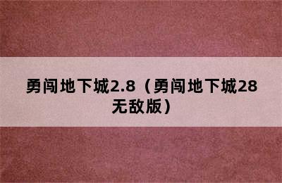 勇闯地下城2.8（勇闯地下城28无敌版）