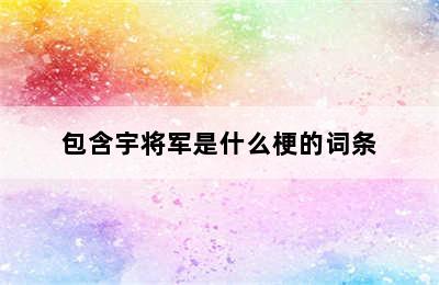 包含宇将军是什么梗的词条