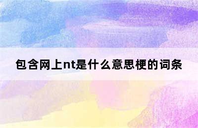 包含网上nt是什么意思梗的词条