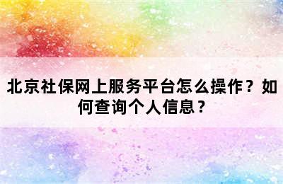 北京社保网上服务平台怎么操作？如何查询个人信息？