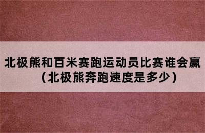 北极熊和百米赛跑运动员比赛谁会赢（北极熊奔跑速度是多少）