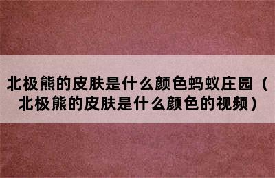 北极熊的皮肤是什么颜色蚂蚁庄园（北极熊的皮肤是什么颜色的视频）