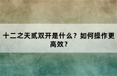 十二之天贰双开是什么？如何操作更高效？