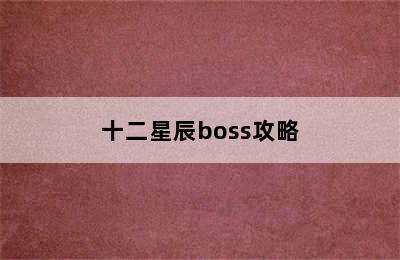 十二星辰boss攻略