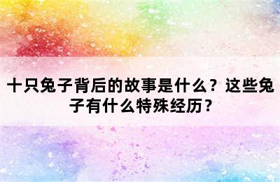 十只兔子背后的故事是什么？这些兔子有什么特殊经历？