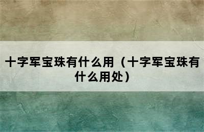 十字军宝珠有什么用（十字军宝珠有什么用处）