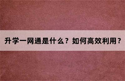 升学一网通是什么？如何高效利用？