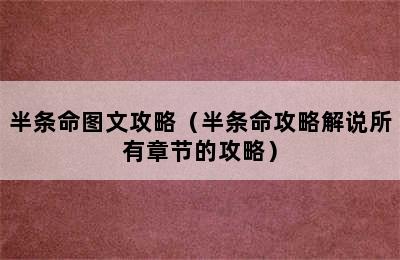 半条命图文攻略（半条命攻略解说所有章节的攻略）