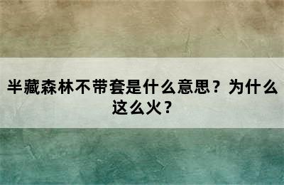 半藏森林不带套是什么意思？为什么这么火？