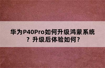 华为P40Pro如何升级鸿蒙系统？升级后体验如何？