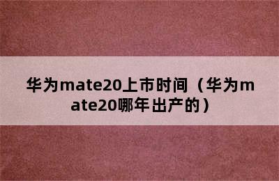 华为mate20上市时间（华为mate20哪年出产的）