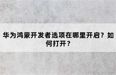 华为鸿蒙开发者选项在哪里开启？如何打开？