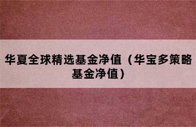 华夏全球精选基金净值（华宝多策略基金净值）