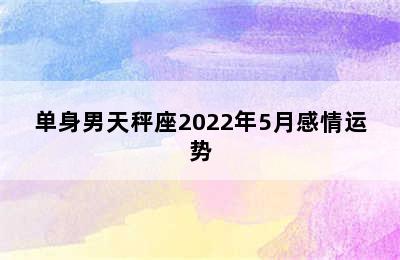 单身男天秤座2022年5月感情运势