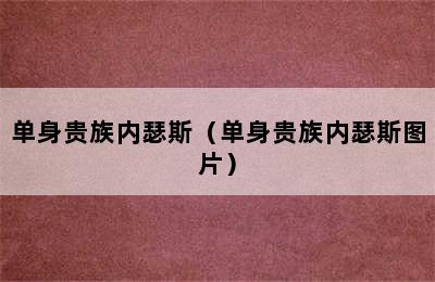 单身贵族内瑟斯（单身贵族内瑟斯图片）