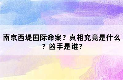 南京西堤国际命案？真相究竟是什么？凶手是谁？