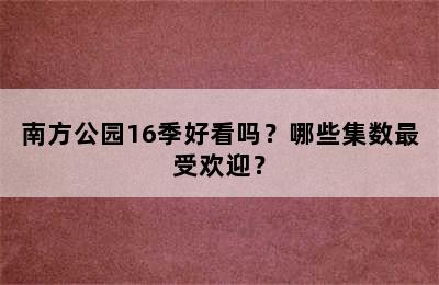 南方公园16季好看吗？哪些集数最受欢迎？