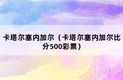 卡塔尔塞内加尔（卡塔尔塞内加尔比分500彩票）