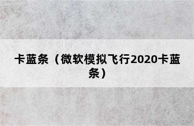 卡蓝条（微软模拟飞行2020卡蓝条）