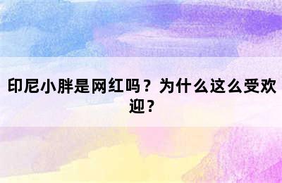 印尼小胖是网红吗？为什么这么受欢迎？