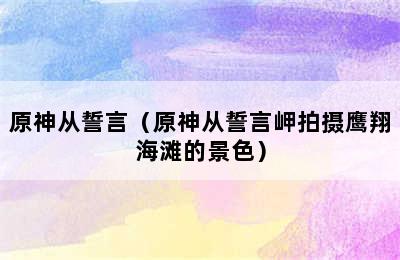 原神从誓言（原神从誓言岬拍摄鹰翔海滩的景色）