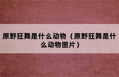 原野狂舞是什么动物（原野狂舞是什么动物图片）