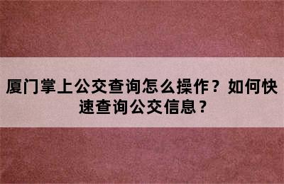 厦门掌上公交查询怎么操作？如何快速查询公交信息？