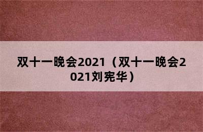 双十一晚会2021（双十一晚会2021刘宪华）