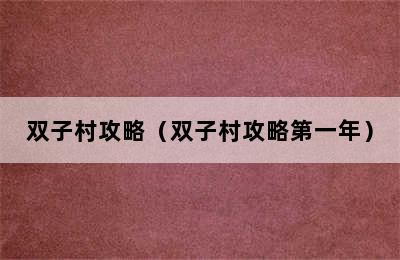 双子村攻略（双子村攻略第一年）