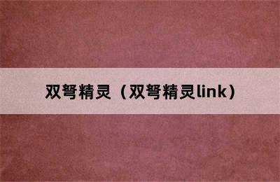 双弩精灵（双弩精灵link）