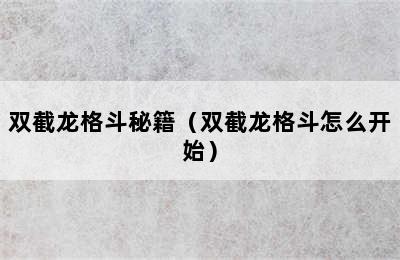 双截龙格斗秘籍（双截龙格斗怎么开始）