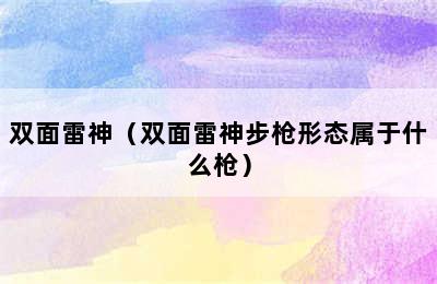 双面雷神（双面雷神步枪形态属于什么枪）