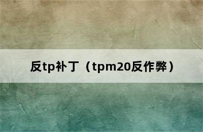 反tp补丁（tpm20反作弊）