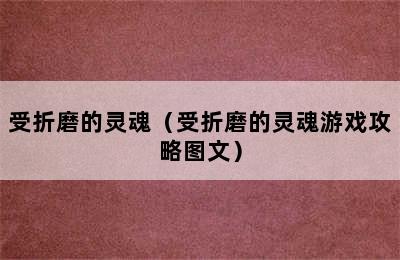 受折磨的灵魂（受折磨的灵魂游戏攻略图文）