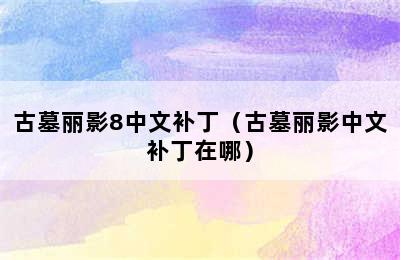 古墓丽影8中文补丁（古墓丽影中文补丁在哪）