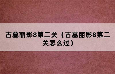 古墓丽影8第二关（古墓丽影8第二关怎么过）